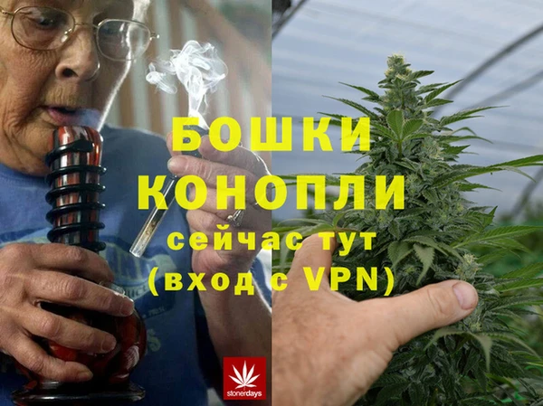 прущие крисы Горняк
