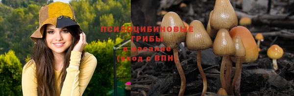 прущие крисы Горняк