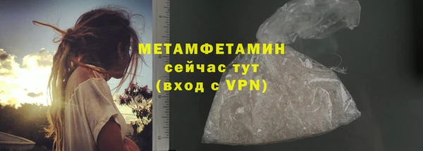 прущие крисы Горняк