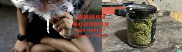 прущие крисы Горняк