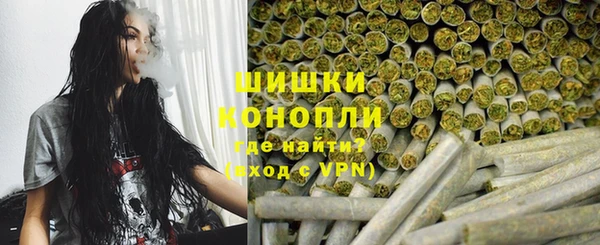 прущие крисы Горняк
