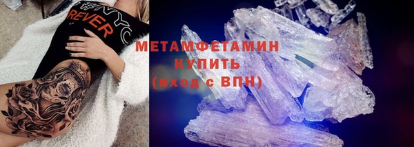 прущие крисы Горняк
